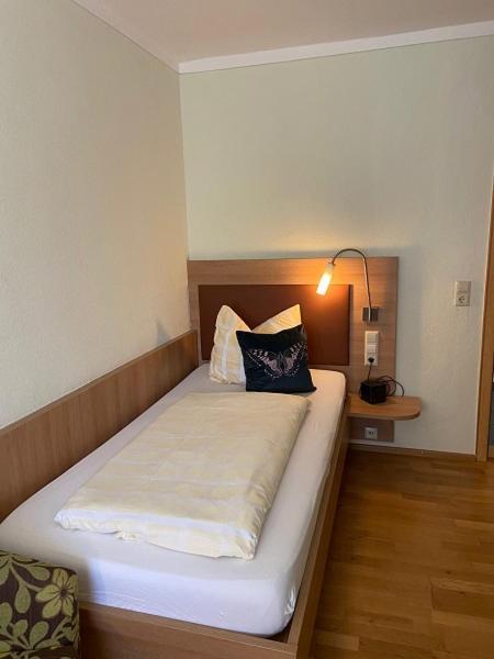 Hotel Goldener Loewe غنزبرغ المظهر الخارجي الصورة